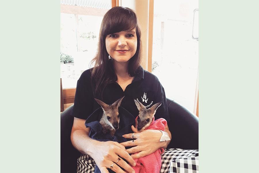 World Wildlife Day 2020