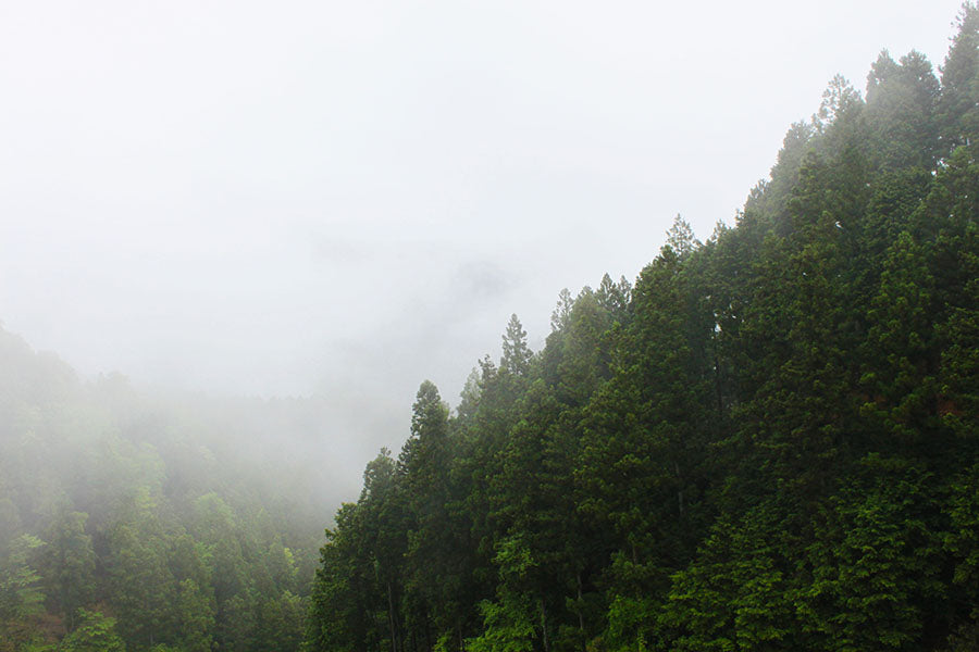 Journey to the spiritual heart of Japan