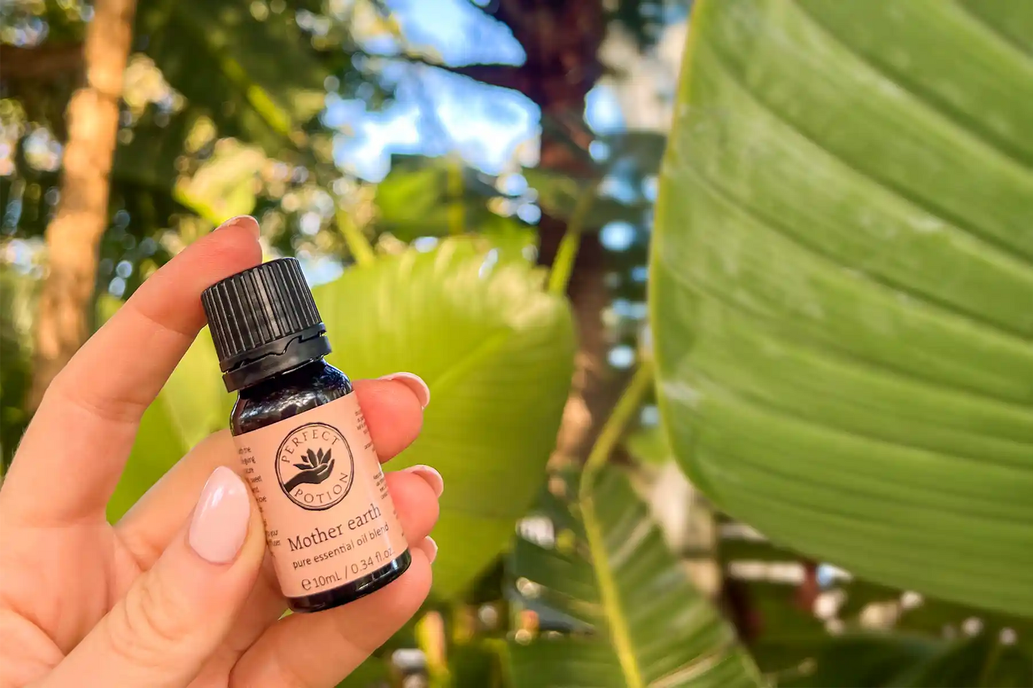 Honouring Mother Earth: Beyond Sustainability, Towards Sacred Connection