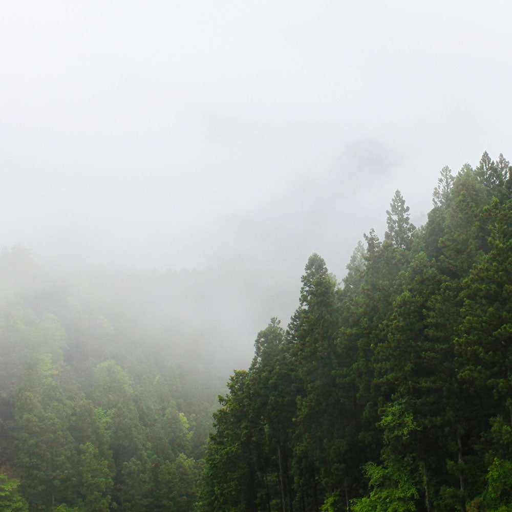 Koyasan sacred mountain room mist