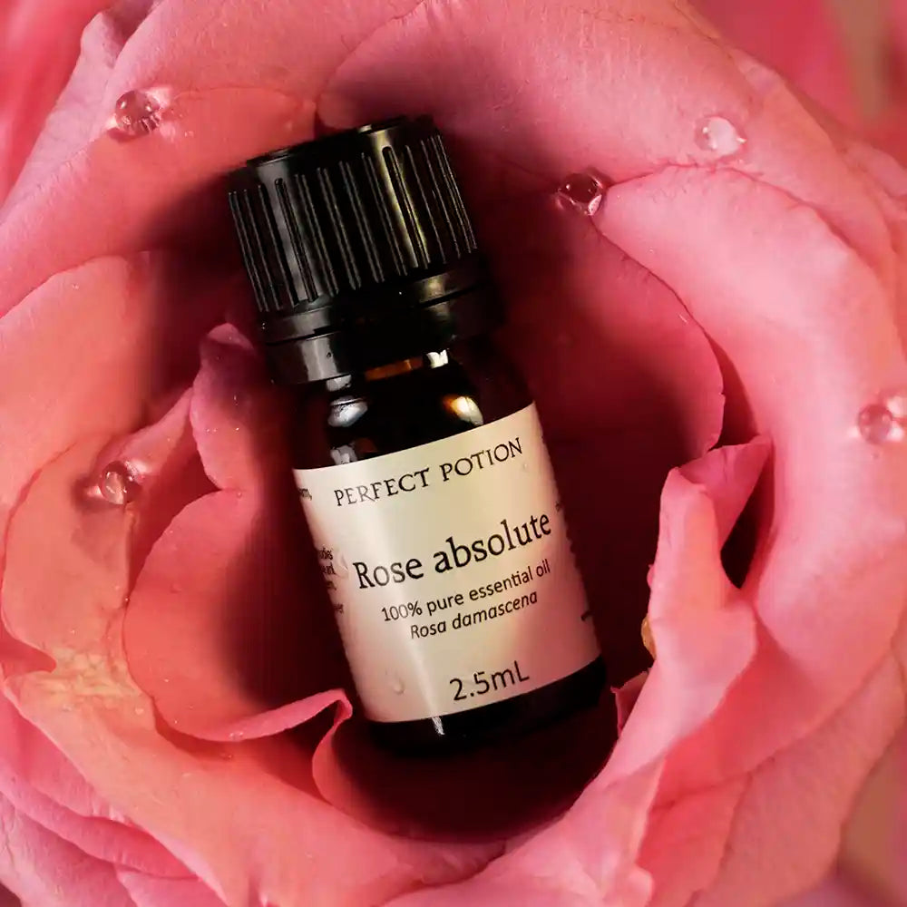 Rose Absolute Pure Essential Oil