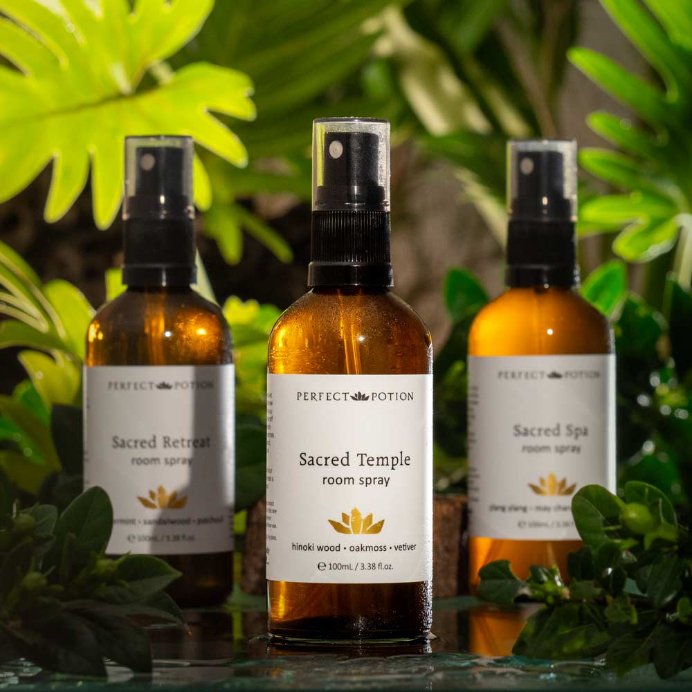Three amber glass room spray bottles from Perfect Potion are lined up on a reflective surface against a background of lush green tropical leaves. The center bottle is labeled 'Sacred Temple' and is in sharp focus, while the bottles on either side are slightly blurred.