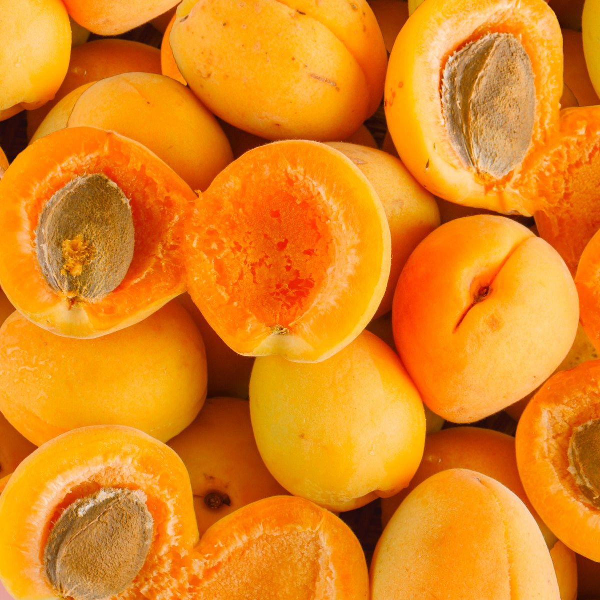 Aprucot Apricot Oil