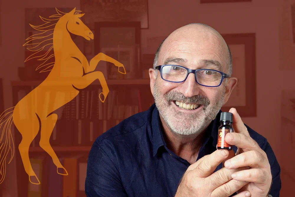 Embracing Energy, Freedom and the New 'Year of the Horse' Blend in 2026