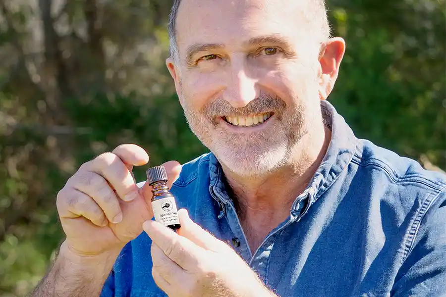 Unlocking the Gentle Power of Spanish Sage