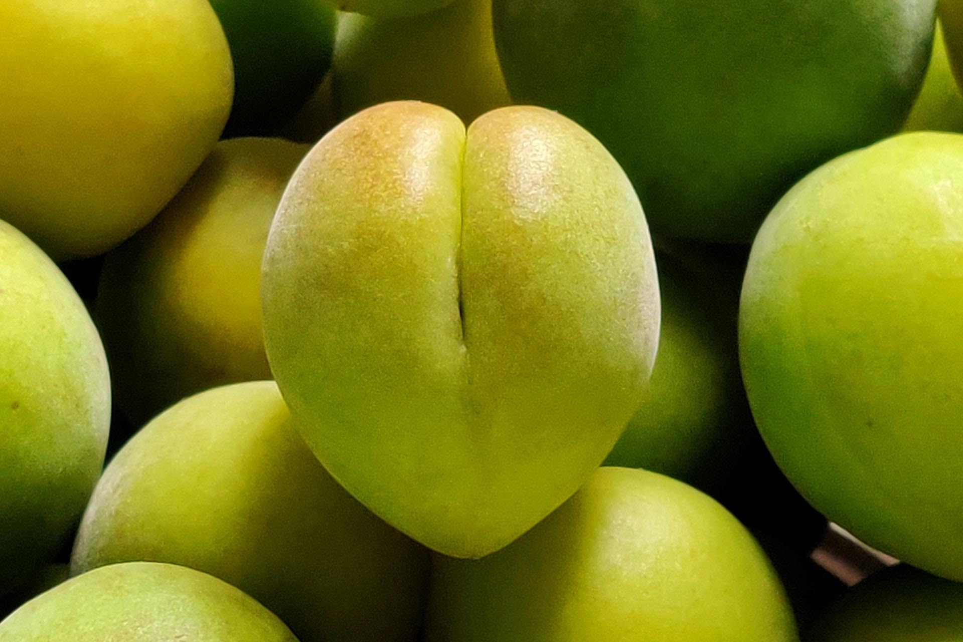 Kakadu Plum - the Australian Superfruit Rich in Vitamin C