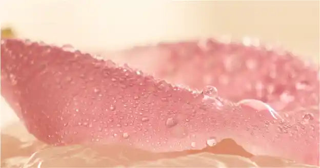 Rose-infused Skincare