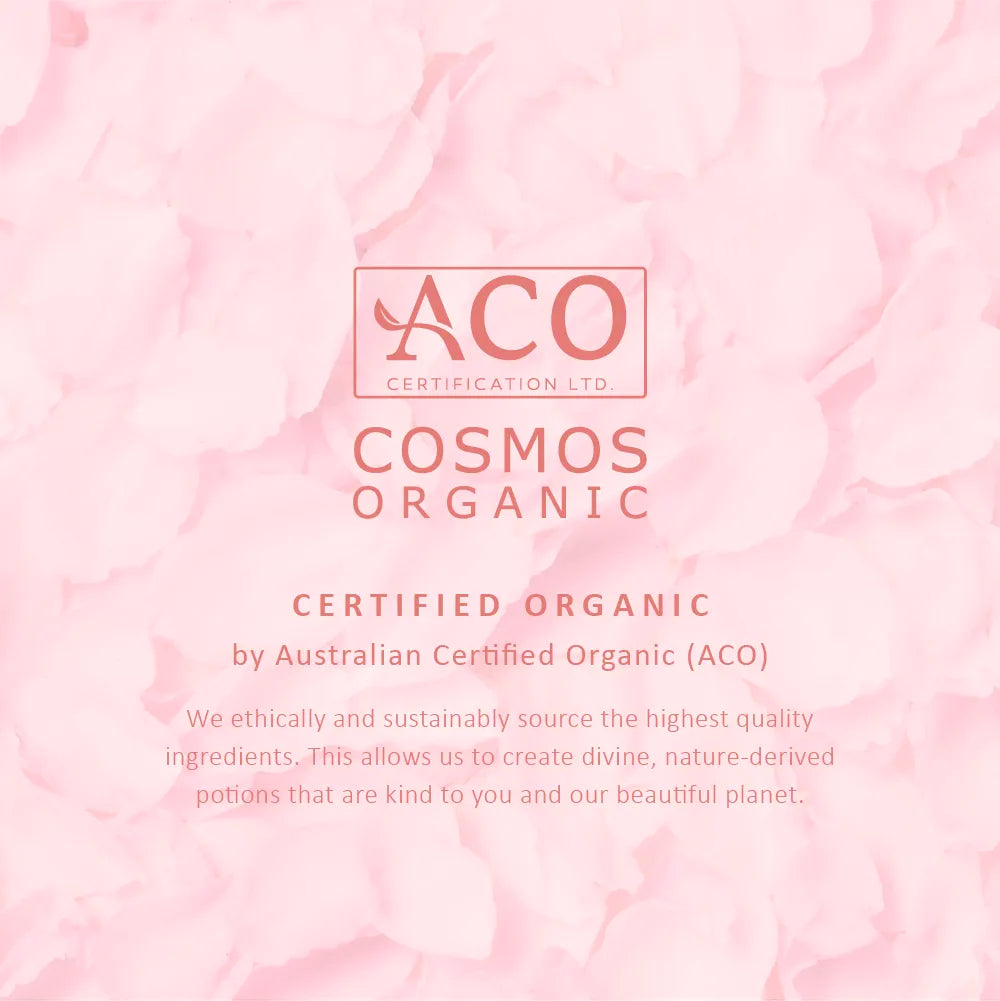 Clean Beauty Award Winning Duo