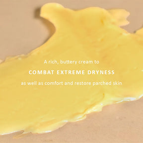 Ancient Healers Intensive Repair Cream
