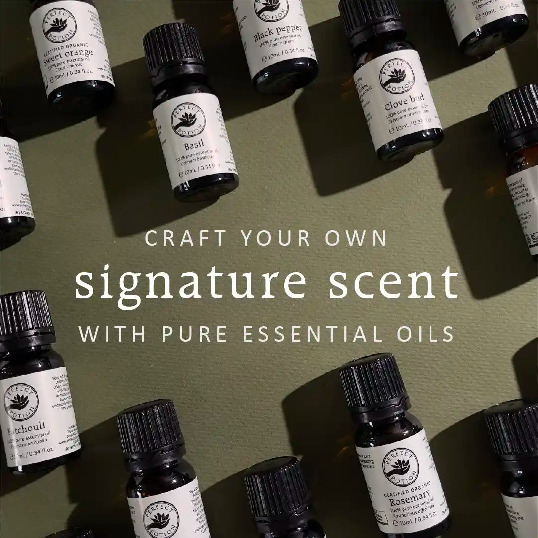 Perfumery Starter Kit