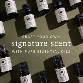 Perfumery Starter Kit