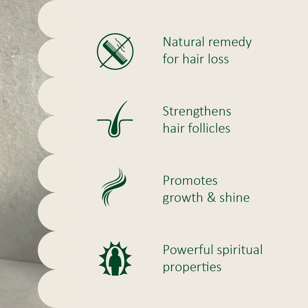 Rosemary Lover Hair Care Bundle