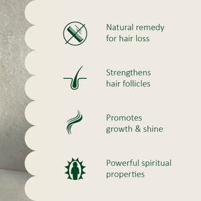 Rosemary Lover Hair Care Bundle