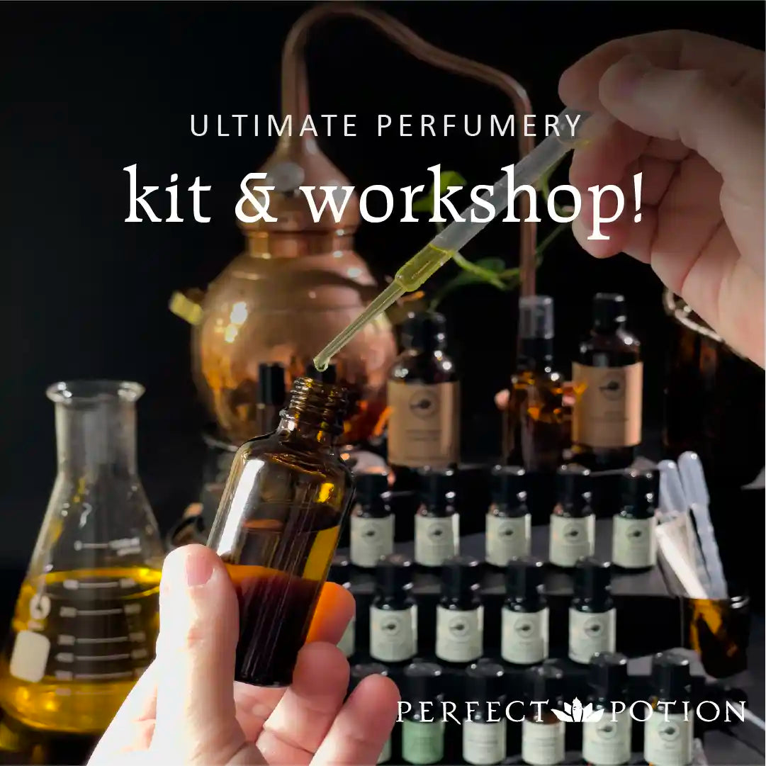 Perfumery Starter Kit