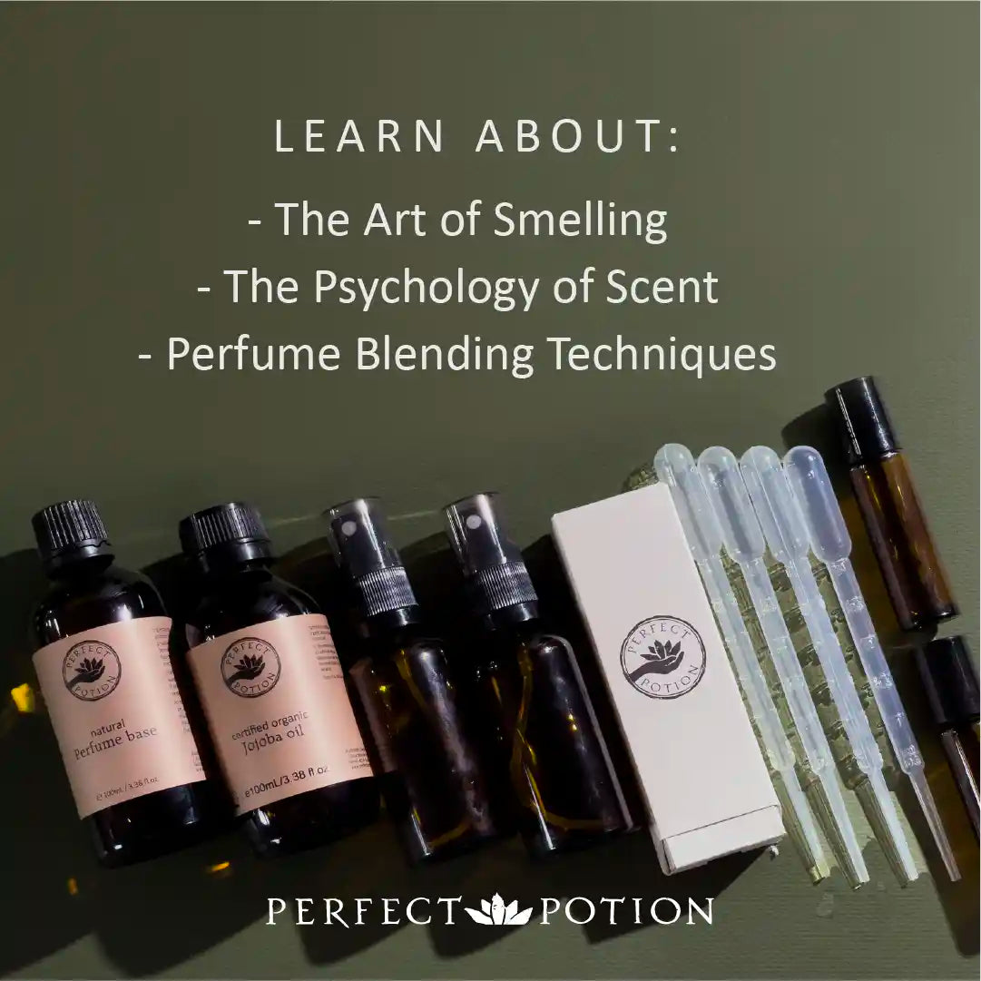 Perfumer Notes Kit Perfumery Starter Kit - DIY Natural Perfumes | Perfect Potion