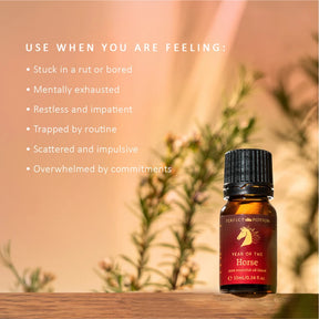 Year of the Horse Essential Oil Blend