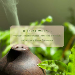Australian Journey Essential Oil Blend