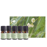 Australian Eucalyptus Essential Oils Collection