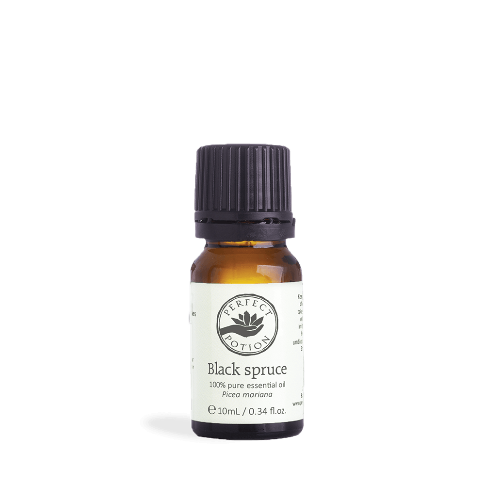 Spruce, Black Pure Essential Oil