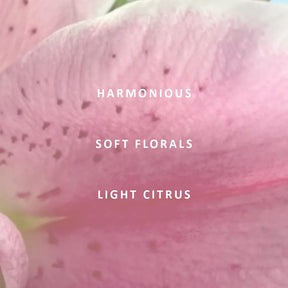 Love Pure Essential Oil Blend