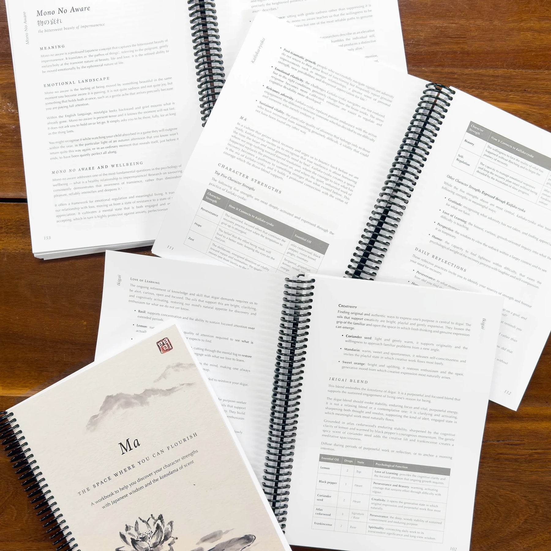 Ma: The Space Where You Can Flourish Workbook (pre-order)