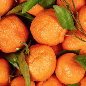 Mandarin Pure Essential Oil