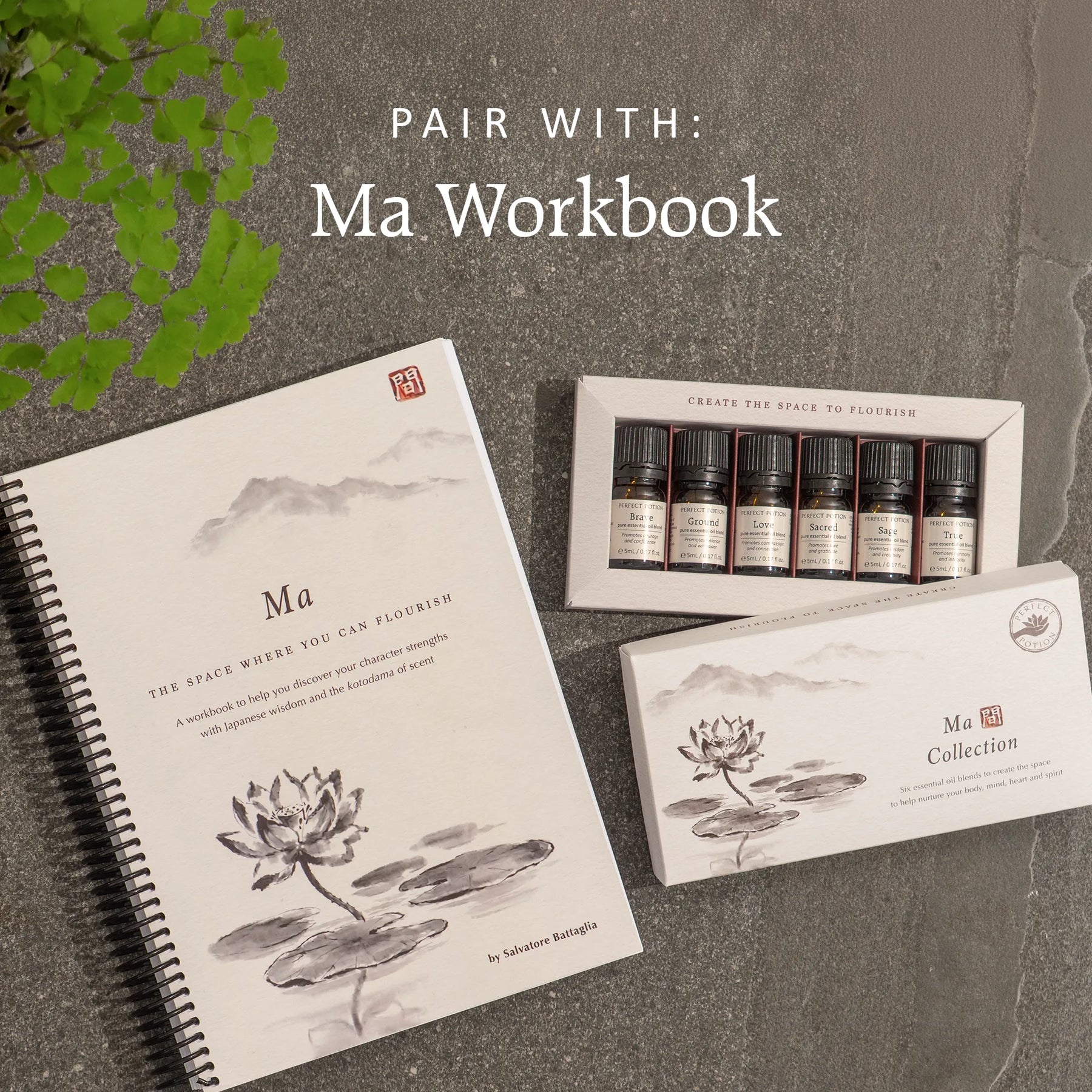 Ma Essential Oil Collection (pre-order)