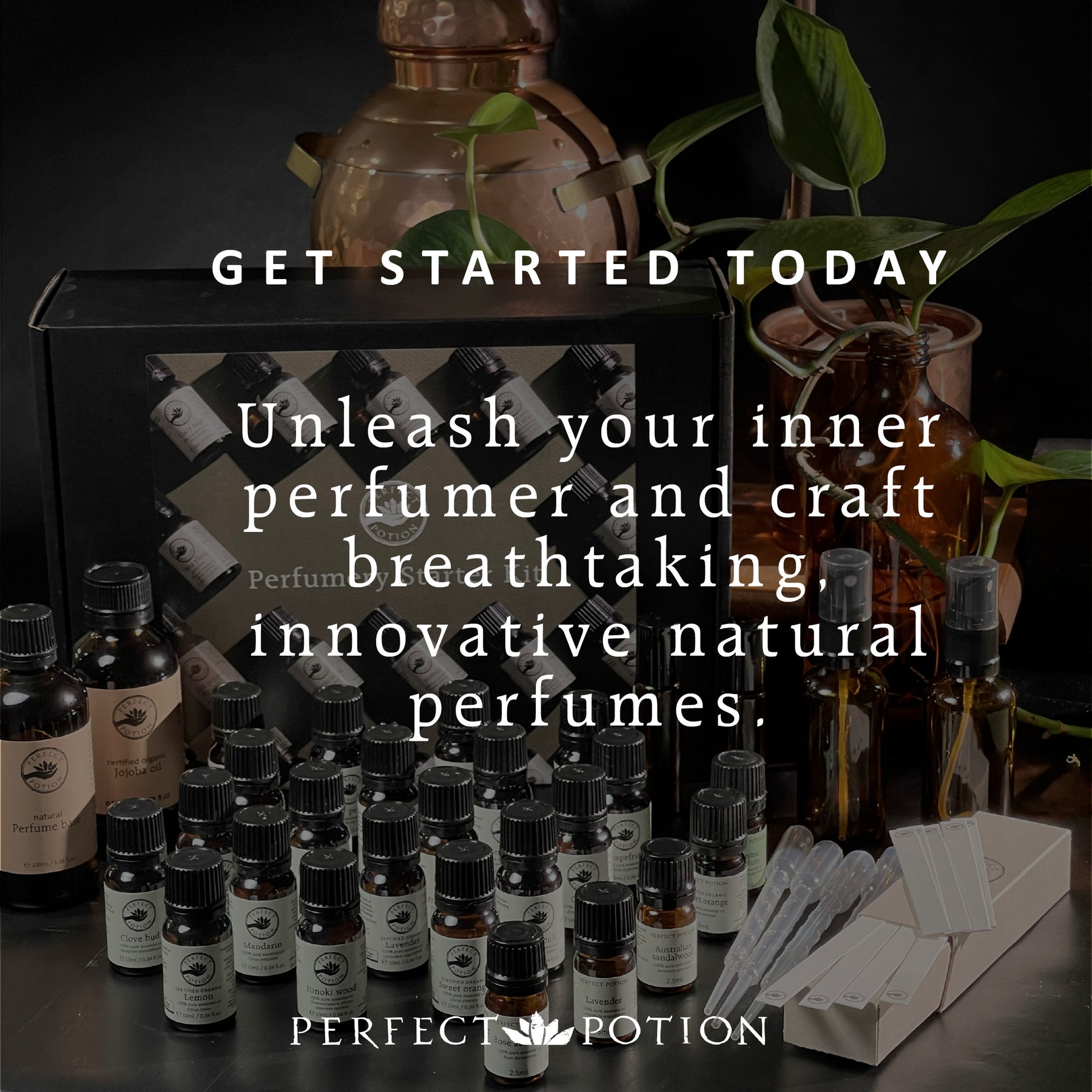 Fundamentals of Natural Perfumery Workshop 2026