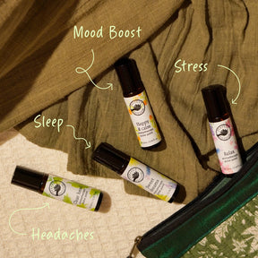 Rollerball Rescue Kit