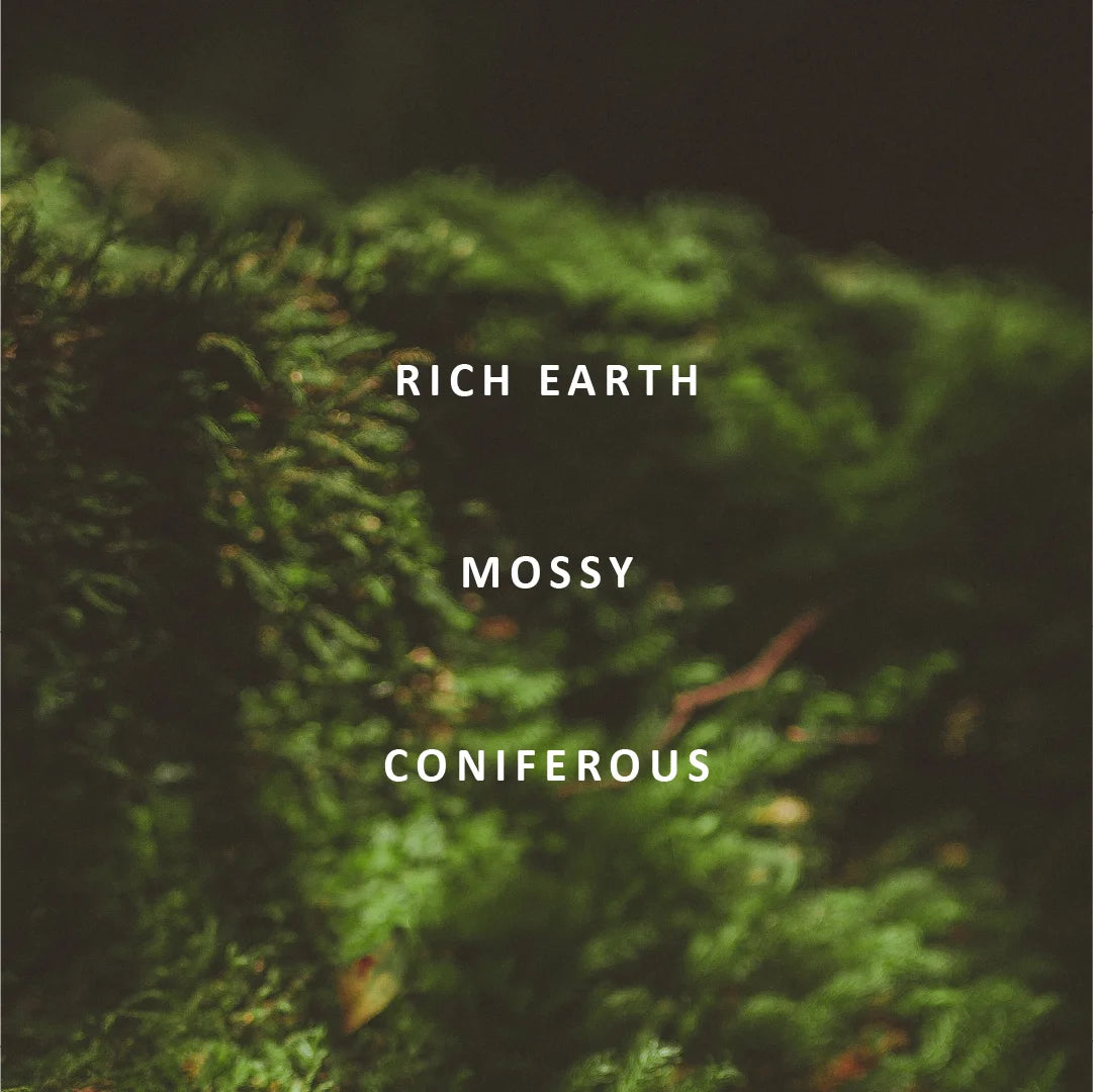 Album cover art for Rich Earth's 'Mossy Coniferous', featuring white serif text over a close-up, heavily blurred photograph of green moss.