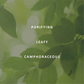 True Pure Essential Oil Blend