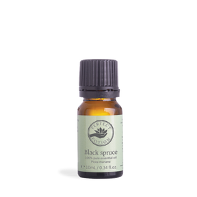 Spruce, Black Pure Essential Oil