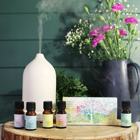 Listen To Nature Essential Oil Blends Kit